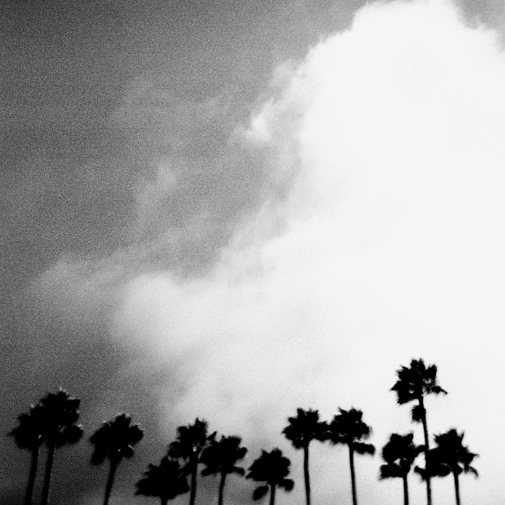 Richard Rose / Radiation Breeze LP