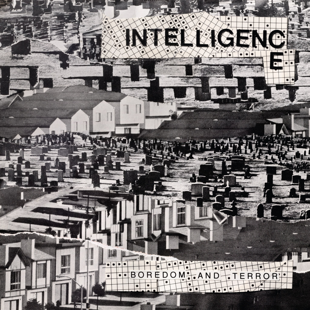 The Intelligence-Boredom & Terror