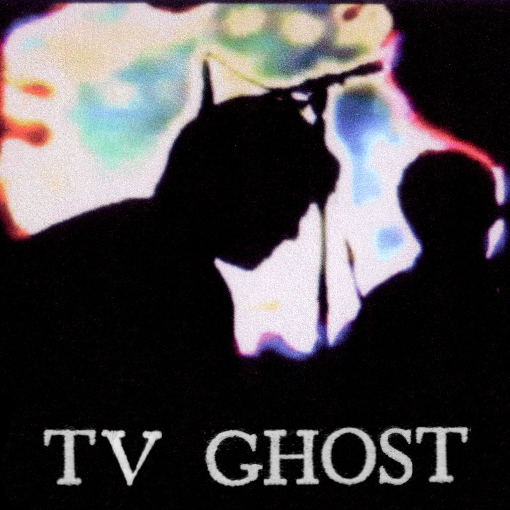 TV Ghost/Mass Dream